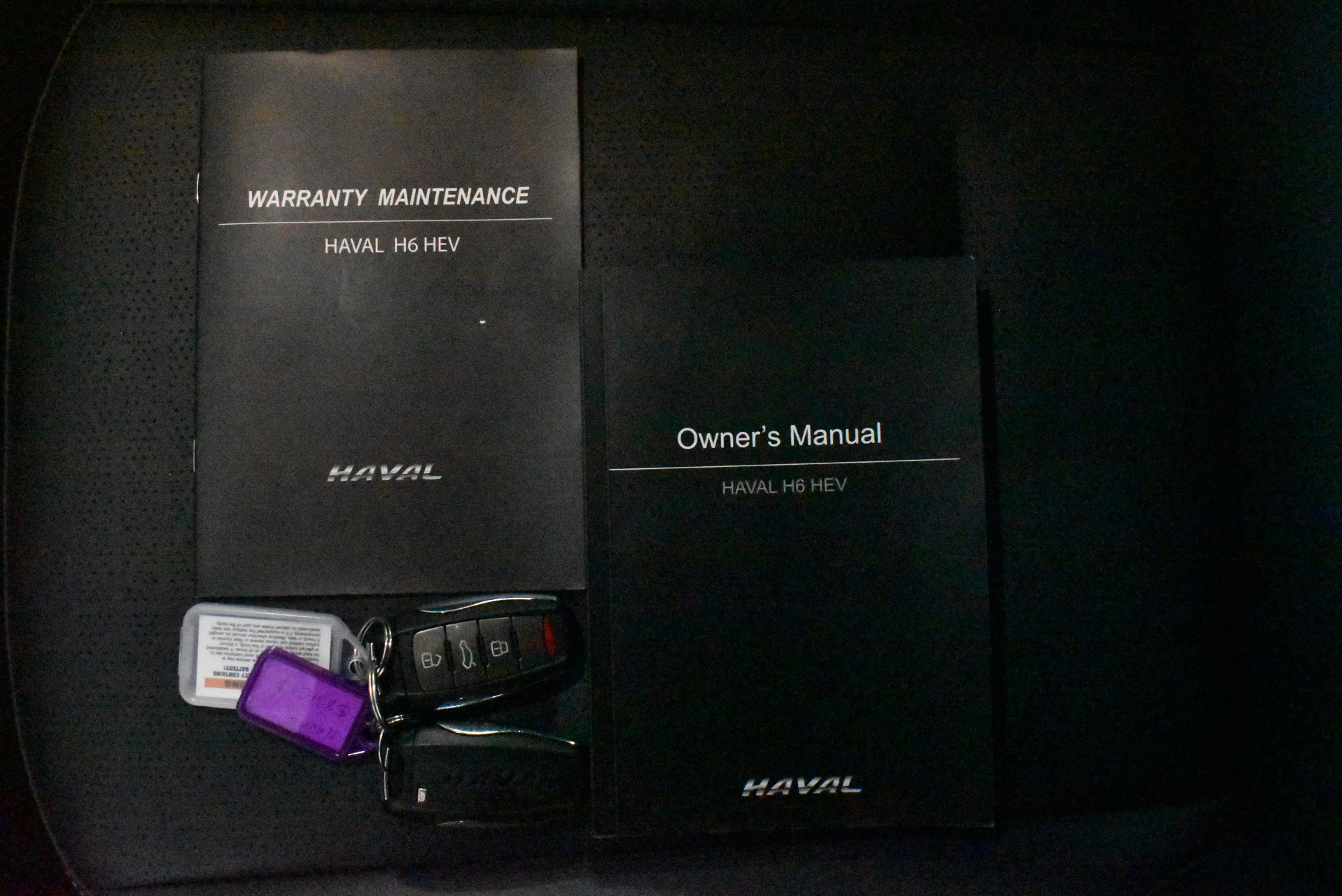 2022 Used GWM Haval H6
