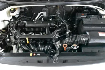 2019 Used Kia Rio