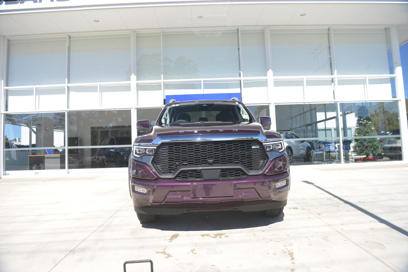 2025 New Foton Tunland