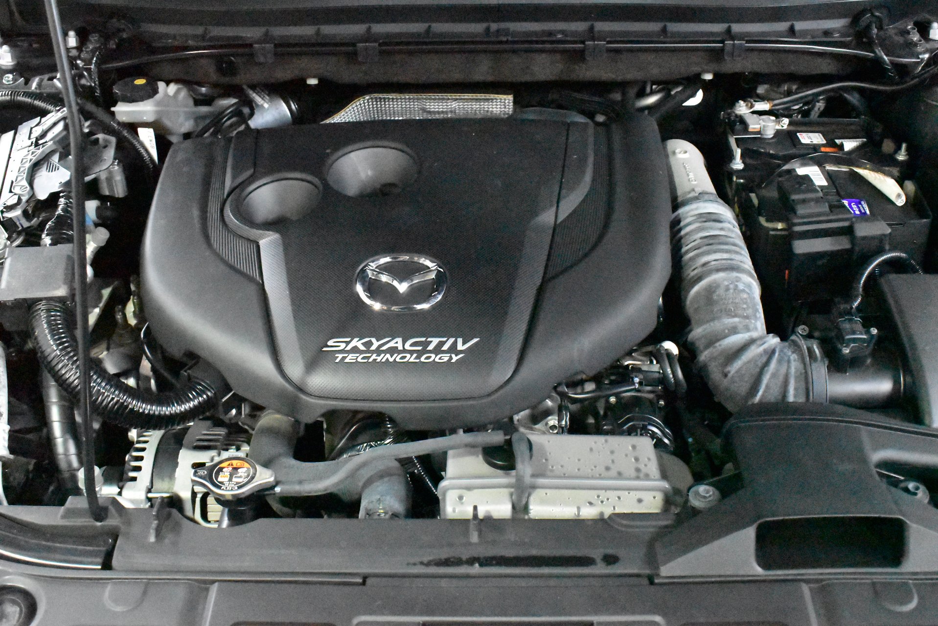 2019 Used Mazda CX-8