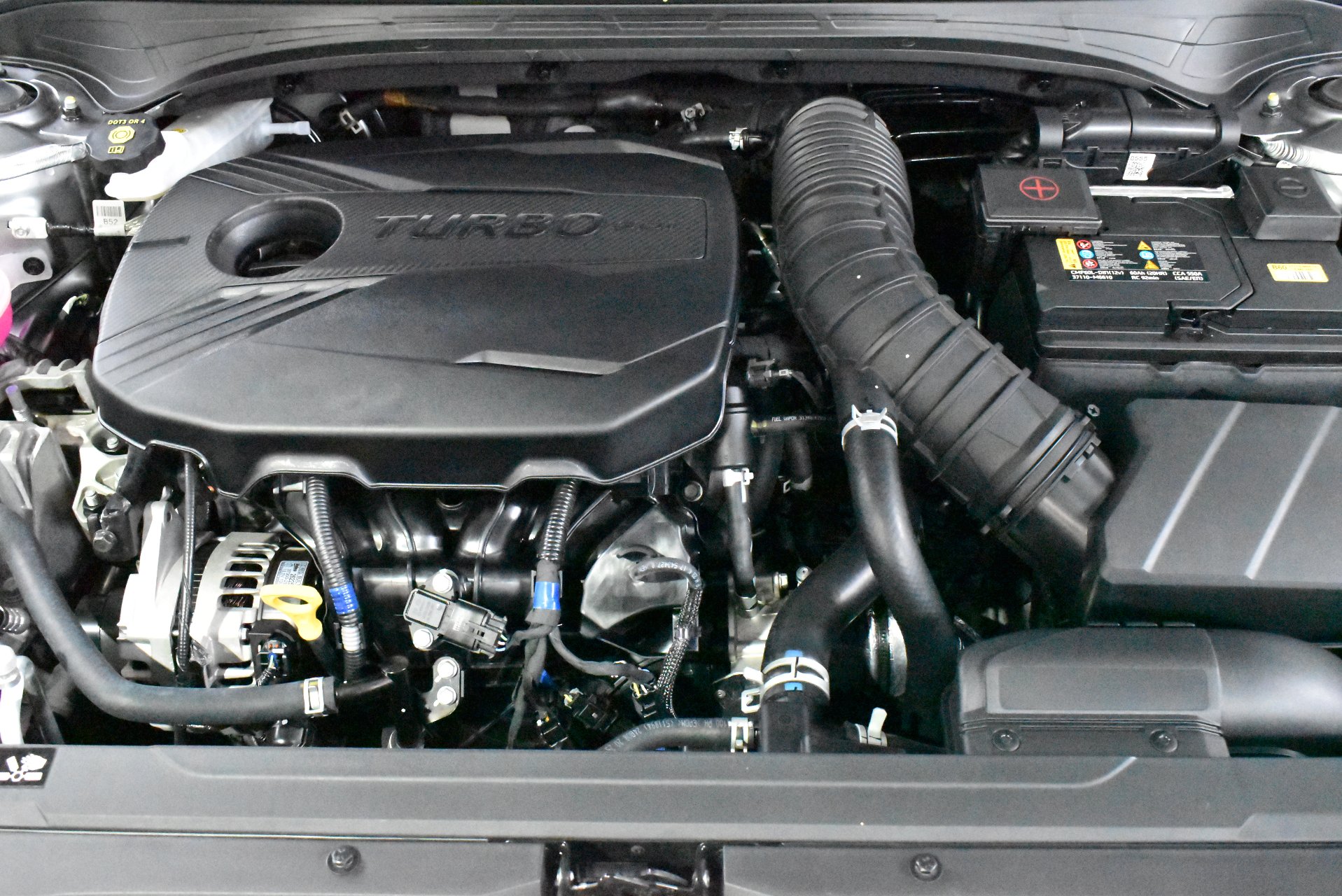 2024 Used Kia Cerato