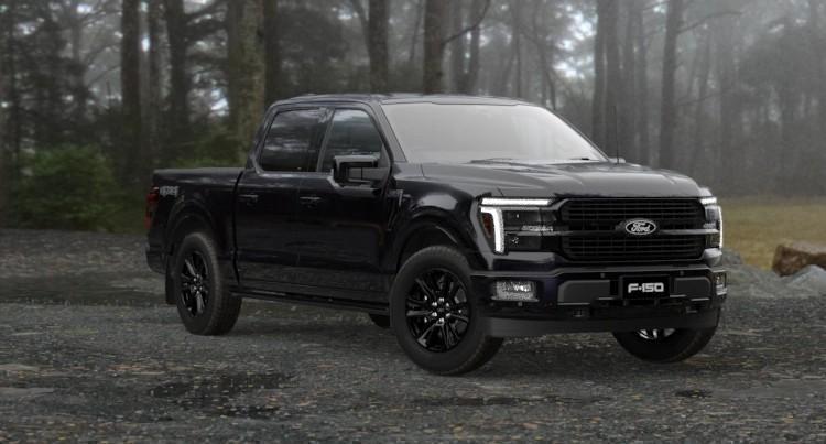 2024 New Ford F-150 Platinum Utility