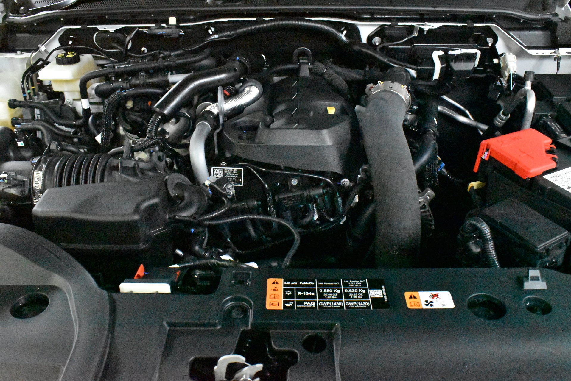 2025 Demo Ford Ranger Wildtrak Ute
