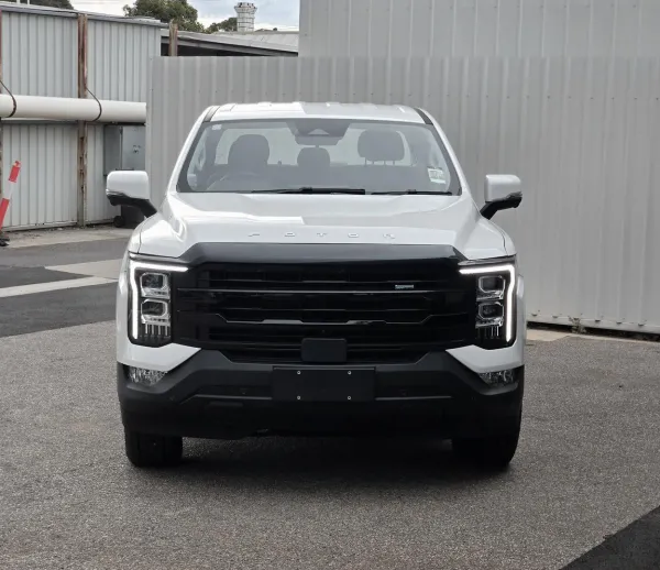 2025 New Foton Tunland P4 V7C Utility